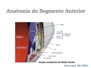Slide04